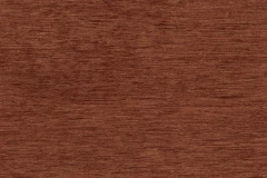 Southern Pecan