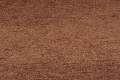 Spring Twig