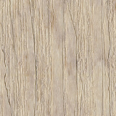 Birch