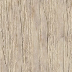 Birch