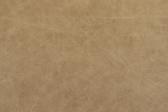 Blond Wood