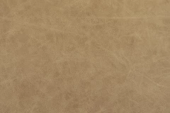 Blond Wood
