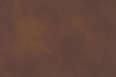 Bourbon Brown