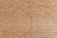 Fossil