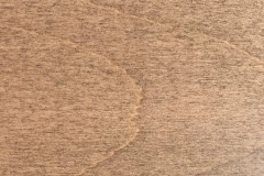 Fossil