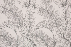 Calm Graphite