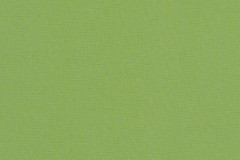 Canvas Ginkgo