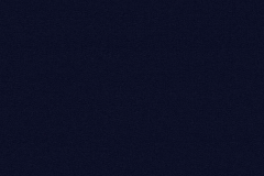 Canvas Navy
