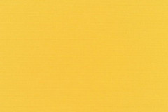 Canvas Sunflower 