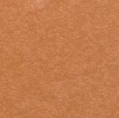 Cedar