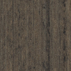Coastal Gray