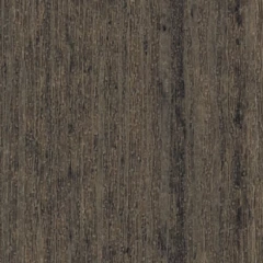 Coastal Gray