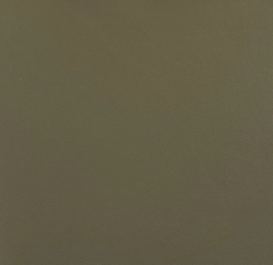 Courtyard Green leather