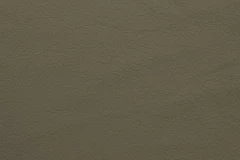 Desert Stone