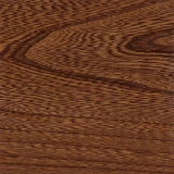 Elm