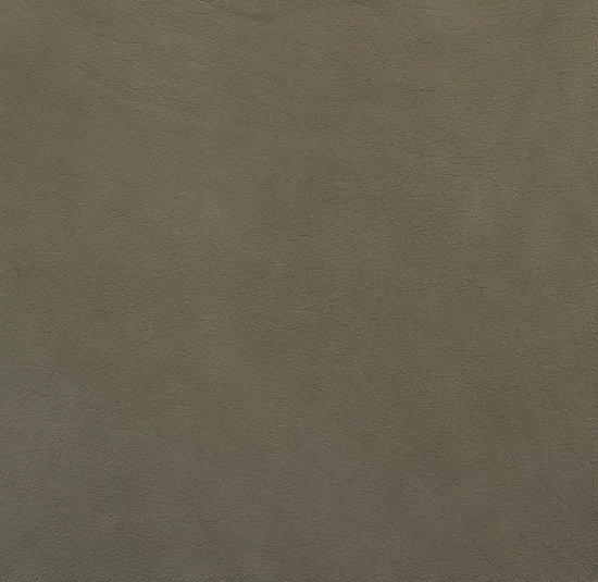 Eucalyptus leather