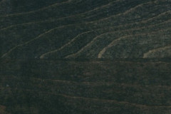 Forest Black