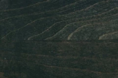 Forest Black