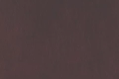 Garnet