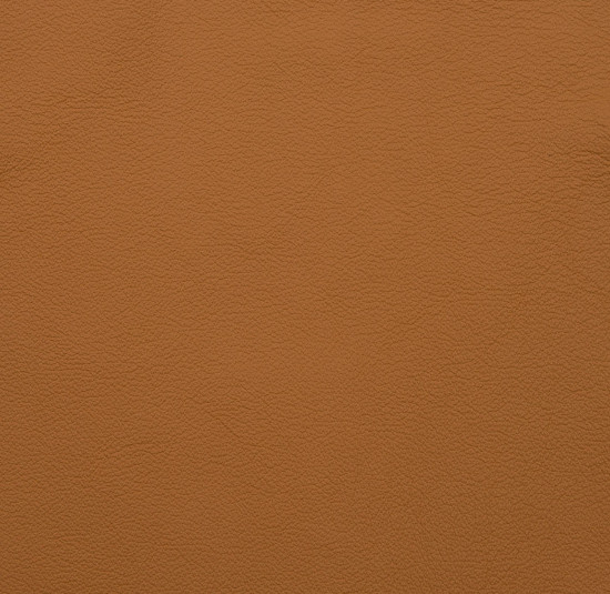 Golden Toffee leather