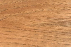Fossil