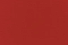Logo Red