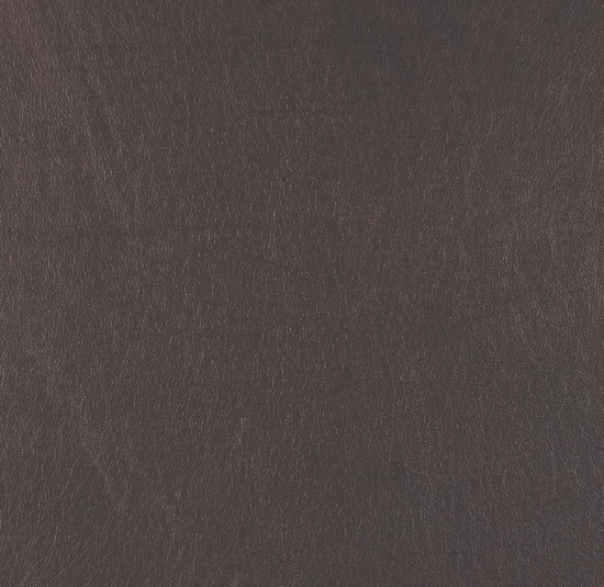 Modern Mocha leather