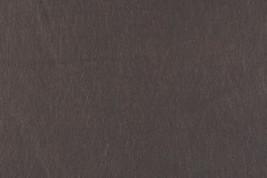 Modern Mocha