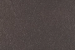 Modern Mocha