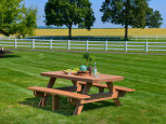Poly Lumber Picnic Table