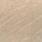 Sand Dollar stain