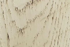 Almond