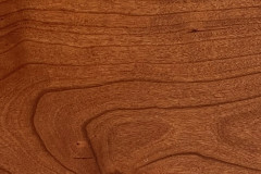 Cinnamon Stick