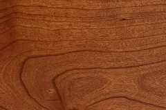 Cinnamon Stick