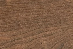 Fossil