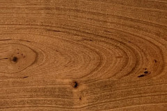 Spiced Apple