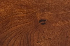 Terra Cotta