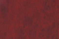 Scarlet