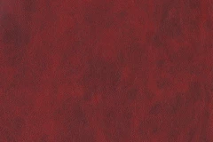 Scarlet