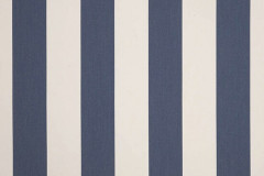 Shore Regatta