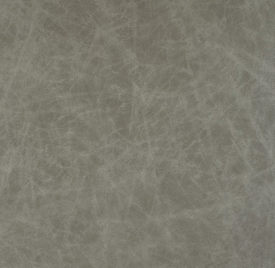 Silver City leather