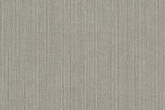 Spectrum Dove