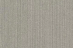 Spectrum Dove