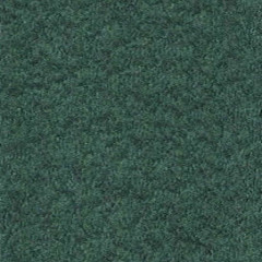 Turf Green 