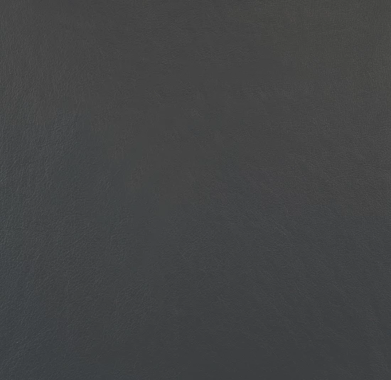 Twilight leather