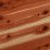 Cedar